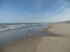 sandstrand-nordsee